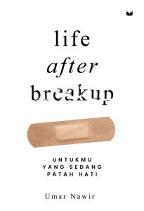 Life After Breakup